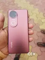 V50 8+8/256GB