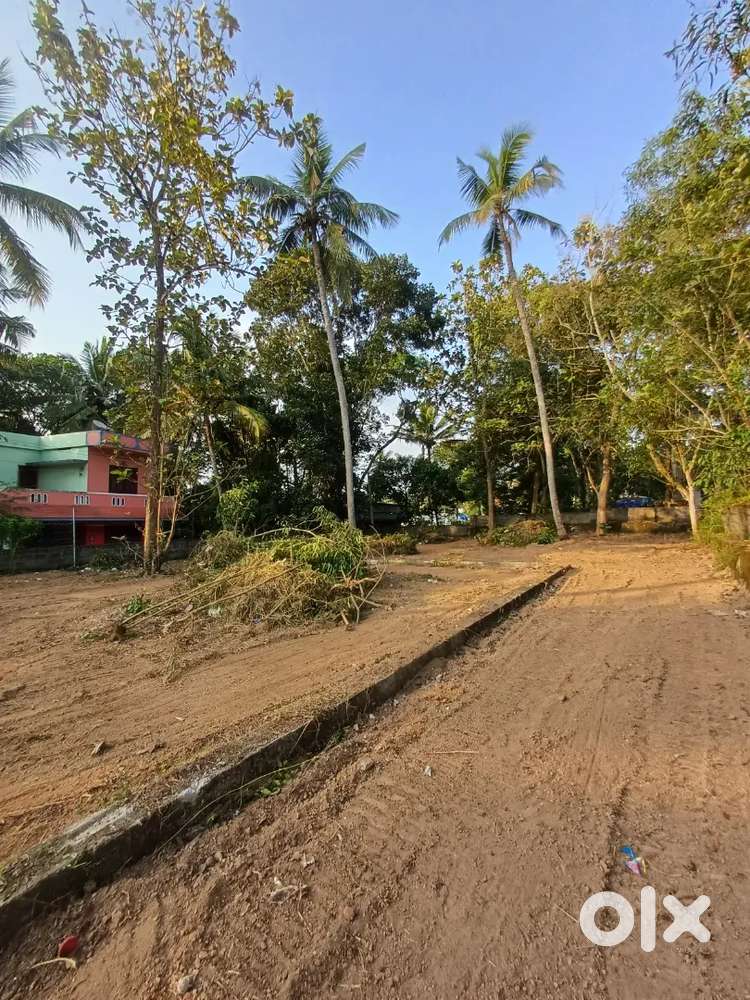 Plot for sale(8cent)