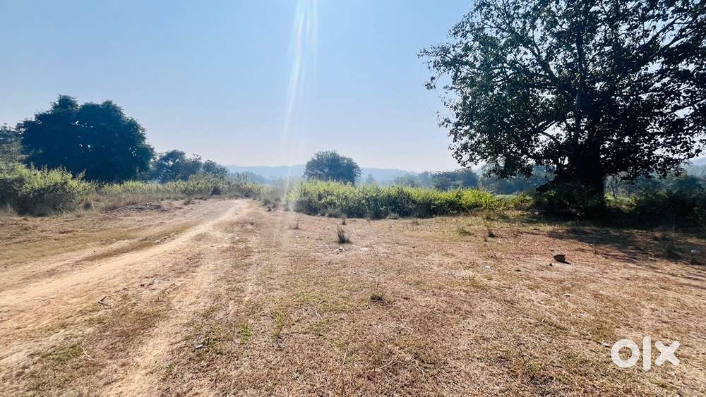 Urgent- Land for Sale