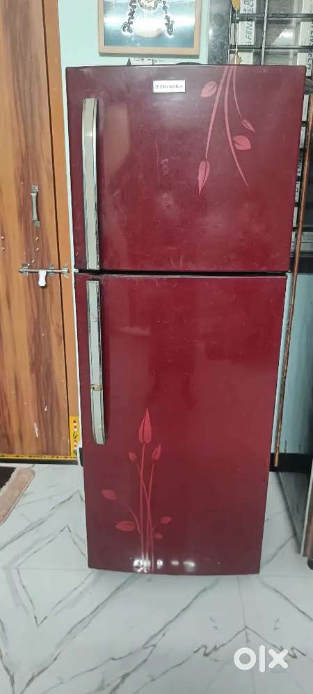 Eltrolux Double door Fridge