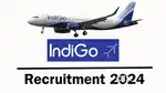 APPLY AIRPORT URGENT JOBS INDIGO AIRLINE GROUND STAFF & TICKET CHECKER