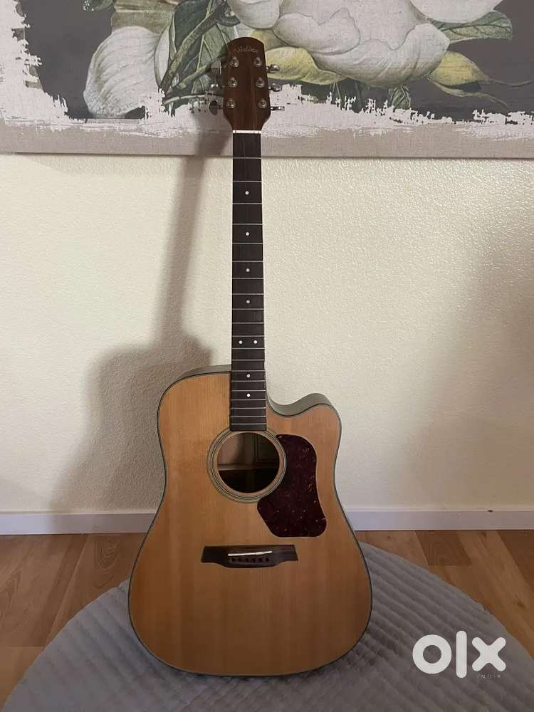 Walden Natura D550CE