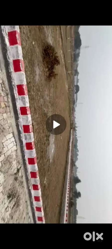 10  se 11 hzaar rupay gaj  rate narval mod ke pass