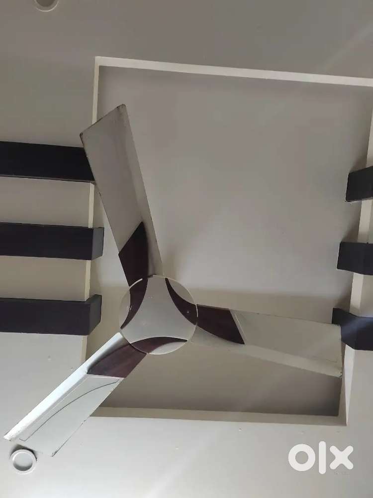 Orient ceiling fans