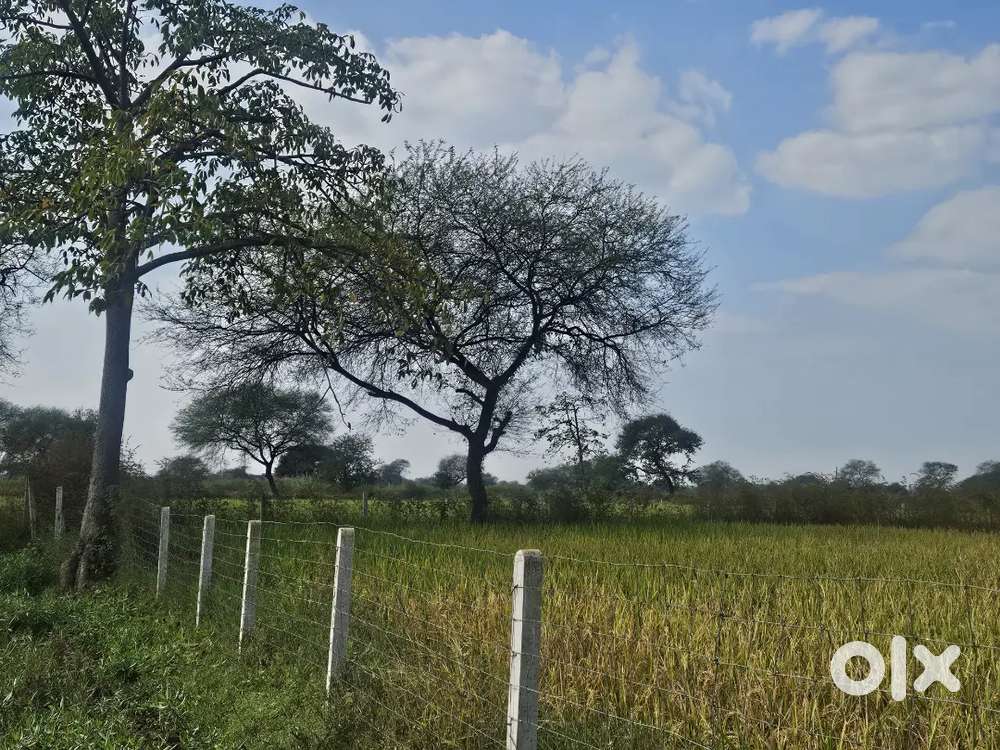 Road se 2nd plot, 1 plot ke baad hai,