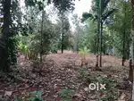 30 cent land for sale at Aluva near seaport airport road