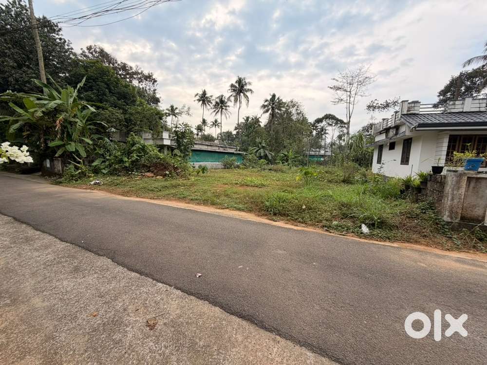 Kothamangalam Thankalam