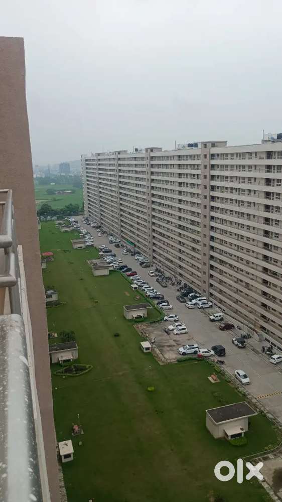 Sharing room single room