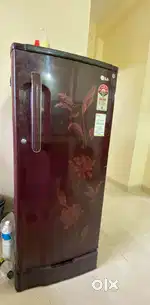 LG 5 star refrigerator