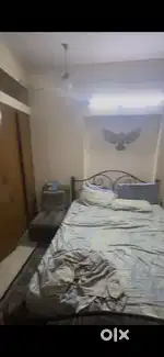 Need a female roommate