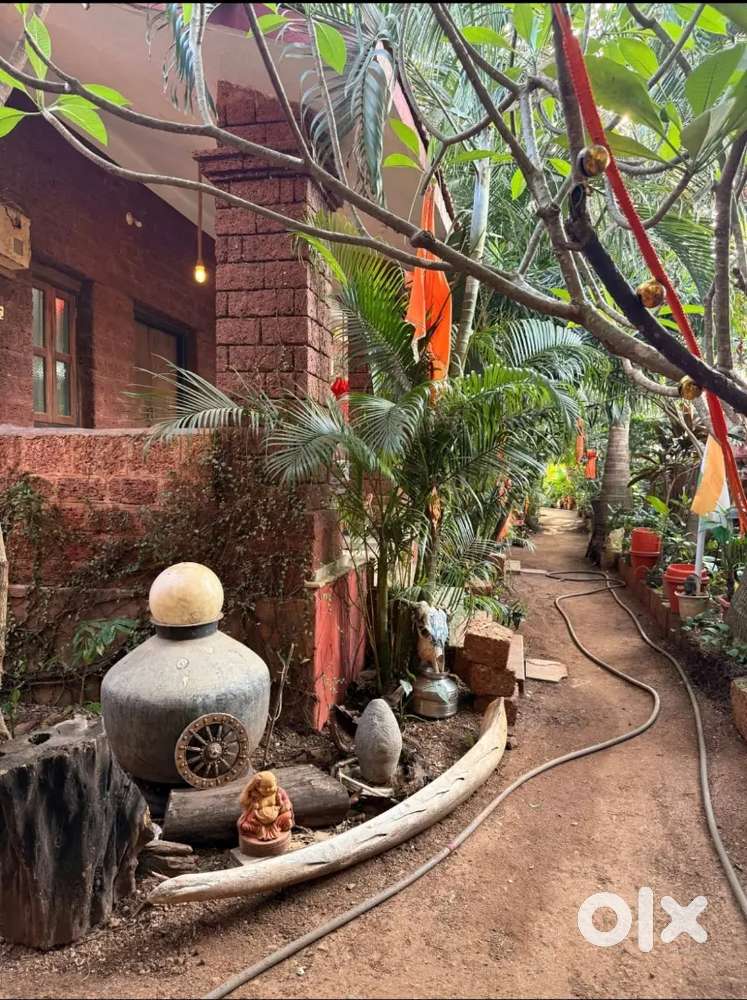Stunning forest view guest house for lease in anjuna