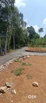 Angamaly near Appolo hospital karukutty beautiful house plots for sale