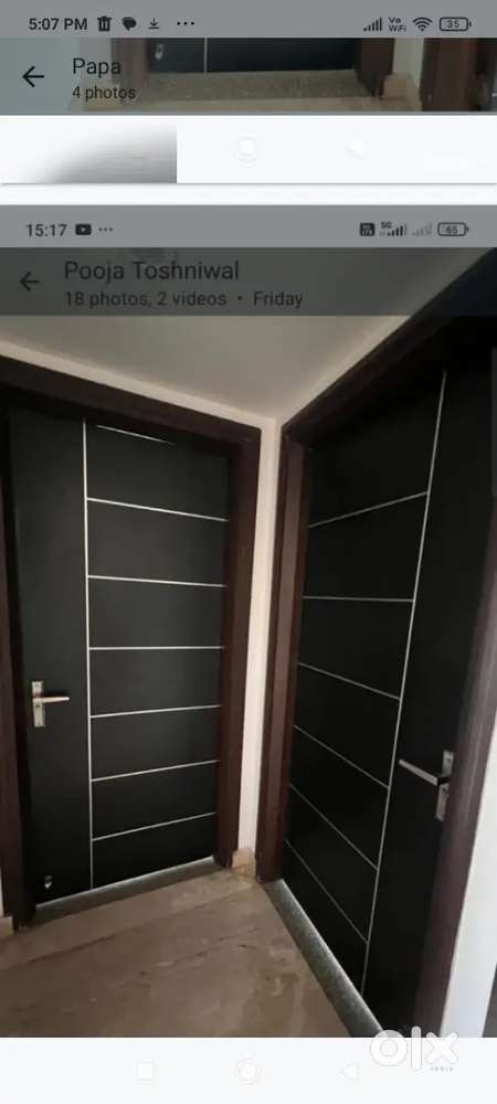 Door/Gates/Flush Door