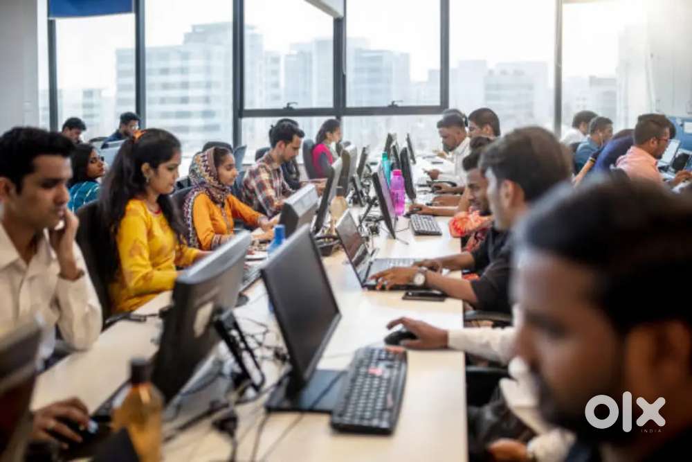 Best working opportunity