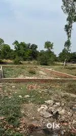 Kailashpur on main dehradun highway (saharanpur)