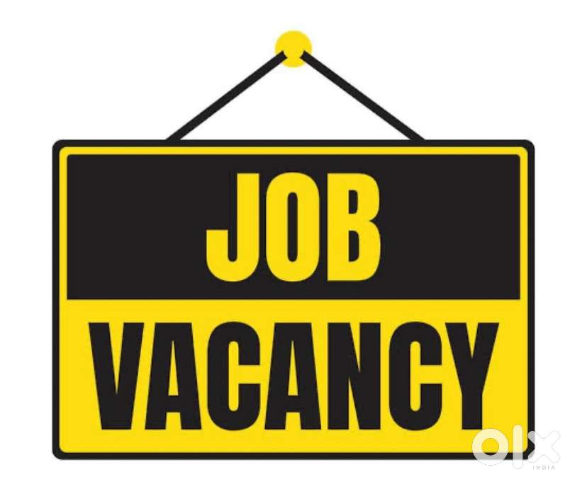 Back office / telecaller