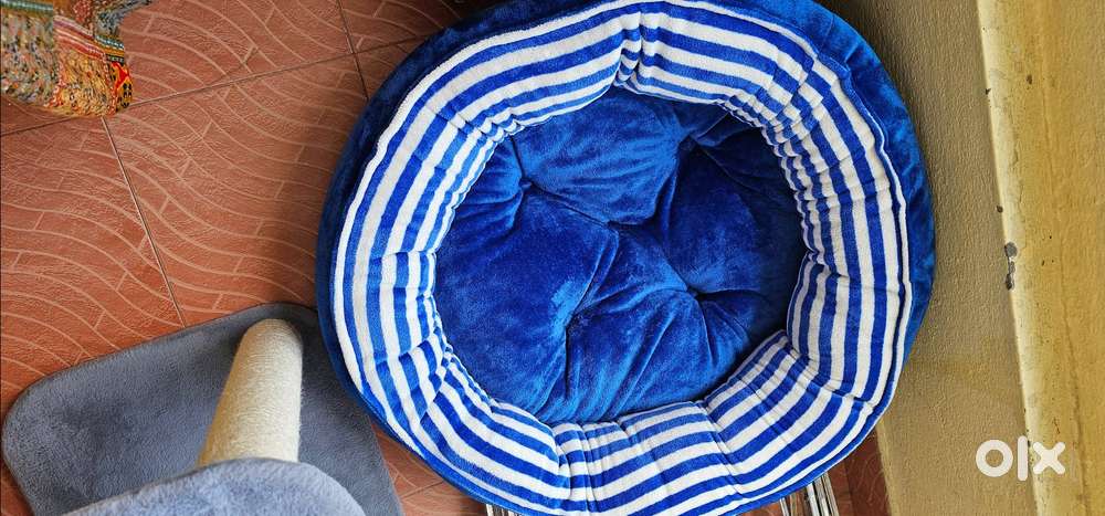 Selling cat tree house + cats mini house + cats sofa + free cats carry