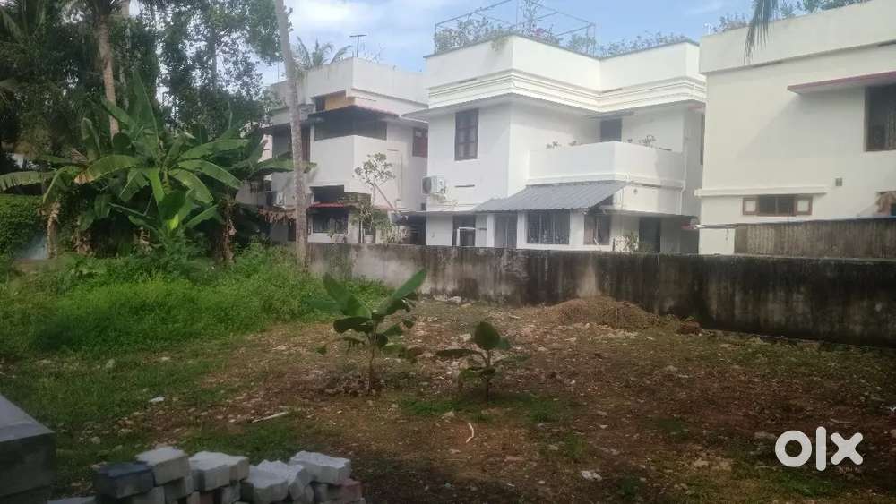 House plot 7.3 cent near pettah jn 200 mtr nh