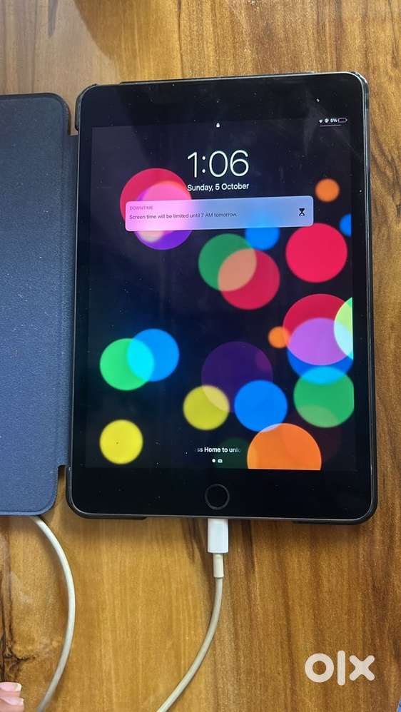 iPad mini (5th Gen) 256GB Wi-Fi – Space Gray  With Case + Cable
