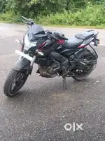 New candisan