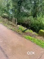 Plot suitable for mini convention centre,Apartments,Godown,Auditorium