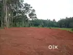 Plot for sale
