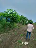 Farmland and farmhouse property
