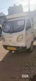 Tata ace zip madaniyu
