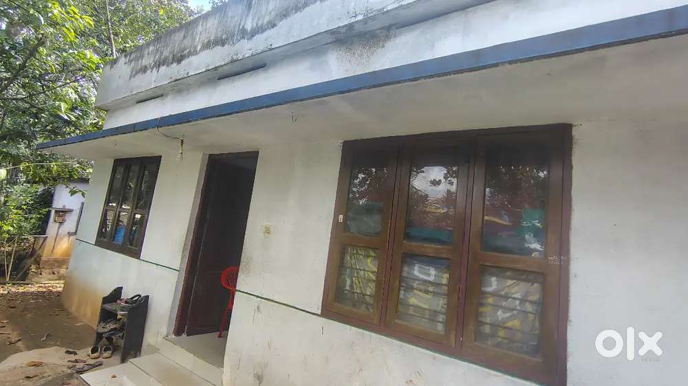 Near Amachal hospital