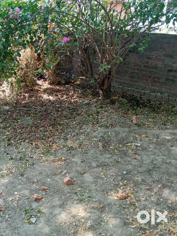 mandiyawn gaon jankipuram Lucknow