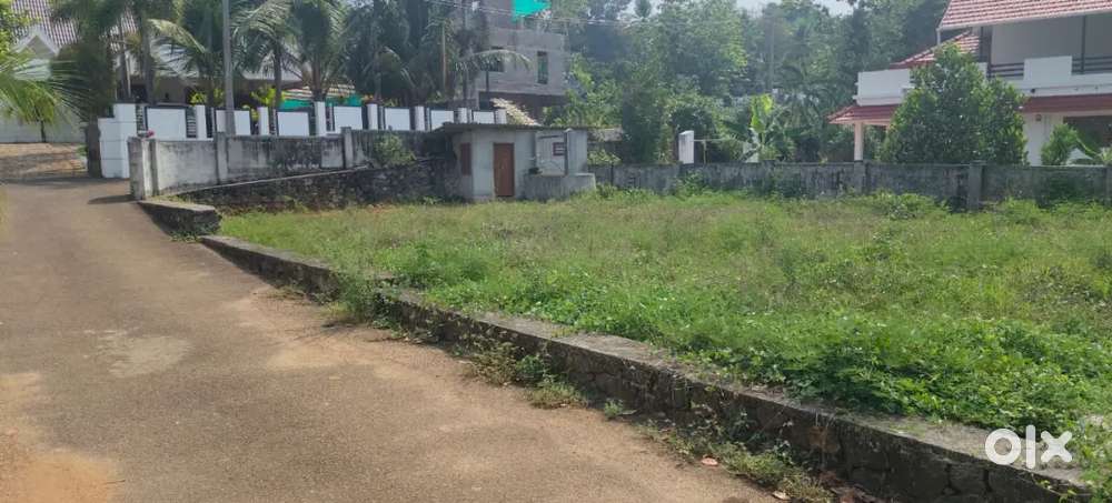 ഏറ്റുമാനൂർ  carithas  old mc  റോഡ് നിന്നും 500 mtr  12 സെന്റ്