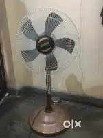 Fan urgent sell