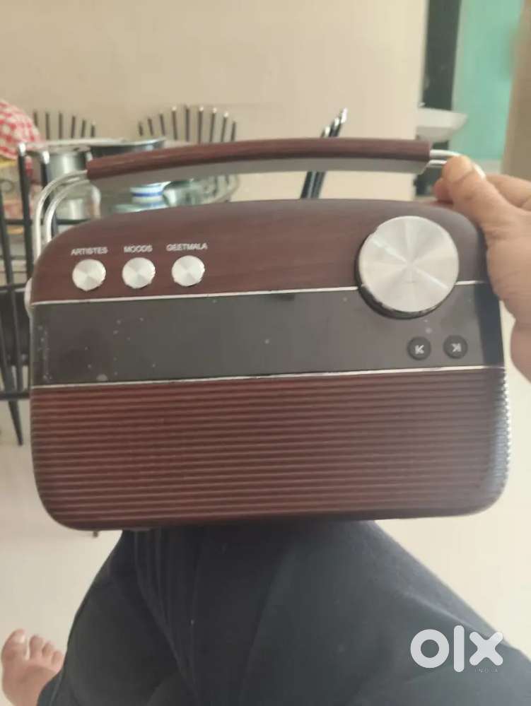 Saregama audio