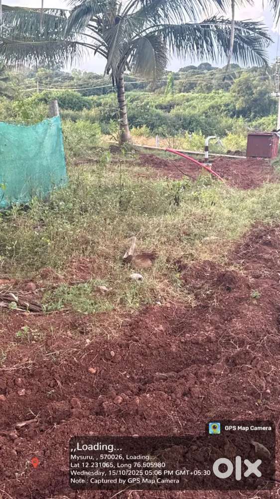 Farm land agriculture land private villa