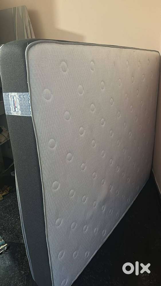 queen matress,chair,bed,cot,king matress,spring bed,office chair