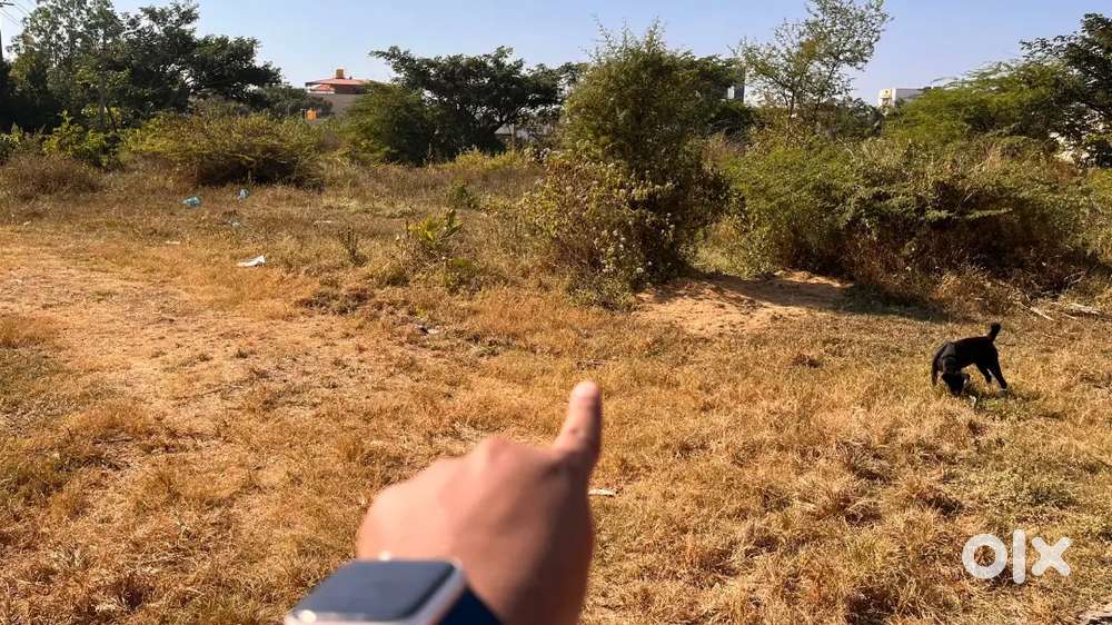 SADHUNAVAR OPP TO AGRI UNIVERSITY  AREA