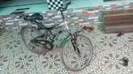 Best cycle