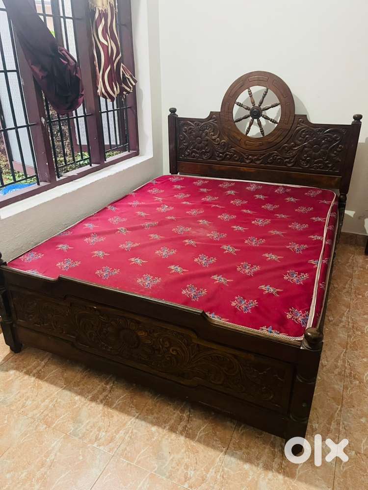 Kattil & bed & fridge