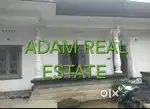 3bhk independent house rent aluva kadungalloor