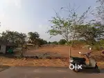 LAND FOR SALE / 35 cents
