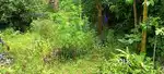 14 Cent Plot for sale @ Vazhuthacaud