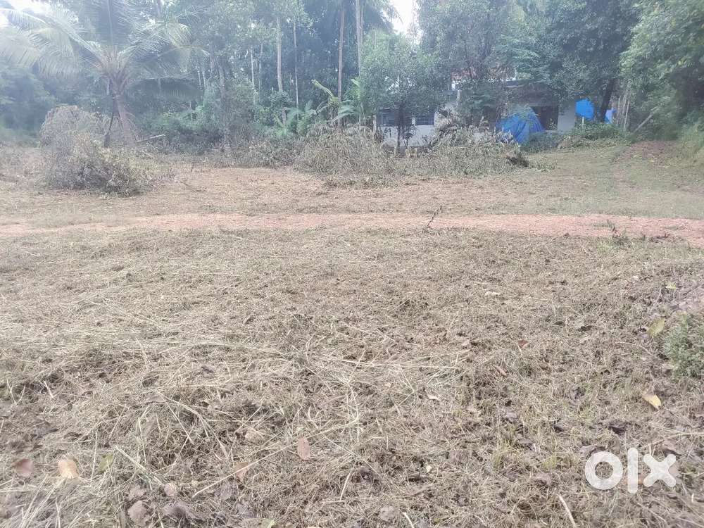 12 cent plot  225000 / cent. And 20 cent &  22 cent plot 250000 / cent