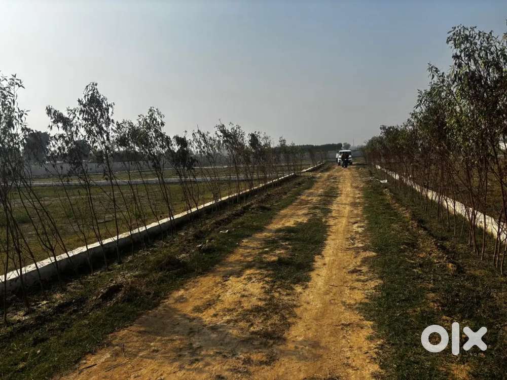 Sector se lgi hui zameen me plot 8500 per gaj 320gaj ka plot 2,720,000