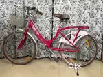 Hero miss india gold 24 inch girl cycle
