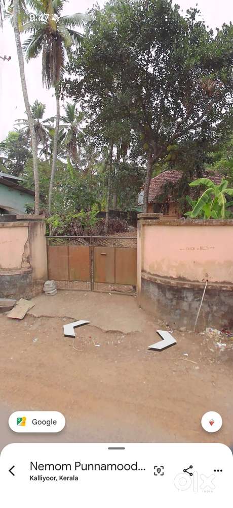 Plot for sale 10 cents. Price - 9 lakhs per cent