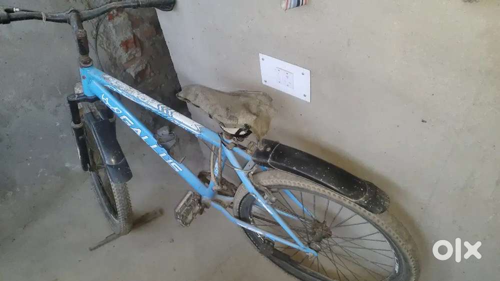 Gallus Stylish cycle