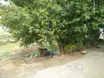 AFFORDABLE RESIDENTIAL PLOT 520 SQYDS FOR SALE SHIVALIK CITY