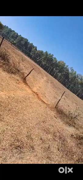 Three acres