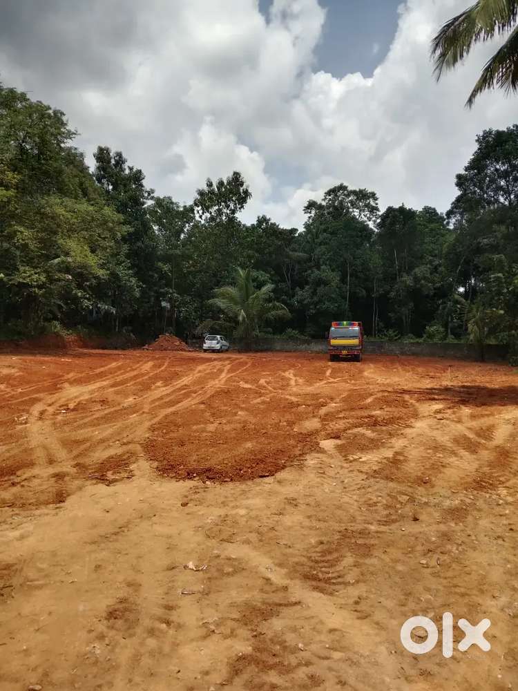 36 Cent Square plot area for sale. Small plots also available.