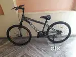 Torfin Brand new cycle